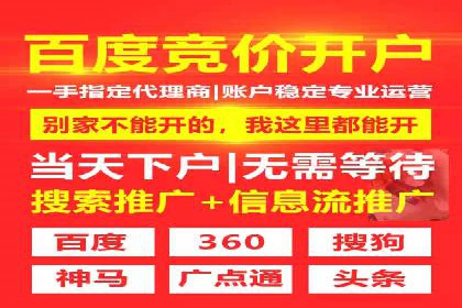 某电商平台的成功案例：信息流优化师的策略与成果